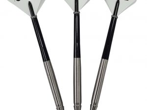 Roleo Steeldartpfeile Professional PR-2 21g
