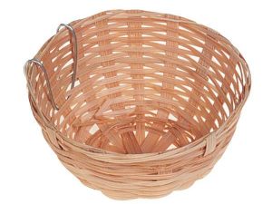 Karlie Brutnest aus Weide