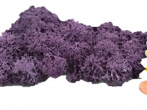 Muwse Islandmoos Flieder 10 g händisch gerupft Osternest Weihnachtskrippe