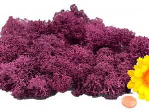 Muwse Islandmoos Veilchen Pink 25 g händisch gerupft Osternest Weihnachtskrippe