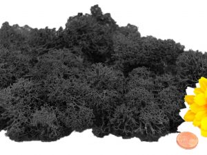 Muwse Islandmoos Dunkelgrau 25 g händisch gerupft Osternest Weihnachtskrippe