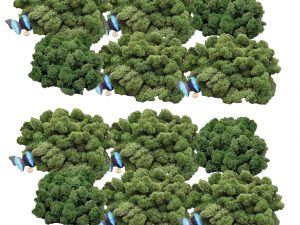 Muwse Islandmoos Tannengrün 1000 g Basteln Wandbilder Dekoration Gestalten