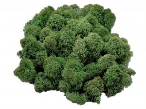 Muwse Islandmoos Tannengrün 50 g Maßstab Spur 1 Modellbau