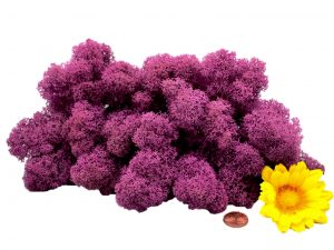 Muwse Islandmoos Viola 50 g Maßstab Spur 1 Modellbau