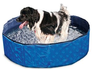 Karlie Flamingo DOGGY POOL Swimmingpool für Hunde - Blau gemustert - 160 cm
