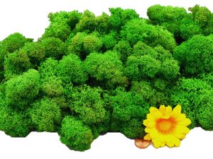 Muwse Islandmoos Grasgrün 100 g Maßstab Spur G Modellbau