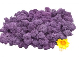 Muwse Islandmoos Flieder 100 g Maßstab Spur G Modellbau