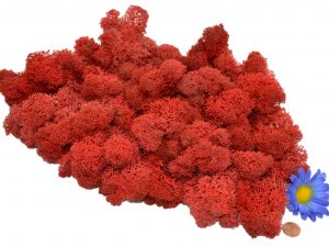 Muwse Islandmoos Mohnrot 100 g Maßstab Spur G Modellbau