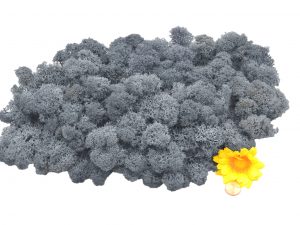 Muwse Islandmoos Titangrau 100 g Maßstab Spur G Modellbau