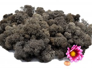 Muwse Islandmoos Dunkelgrau 100 g Maßstab Spur G Modellbau