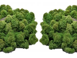 Muwse Islandmoos Tannengrün 100 g Maßstab Spur H0 Modellbau