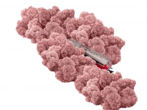 Muwse Islandmoos Rosa 100 g Maßstab Spur H0 Modellbau