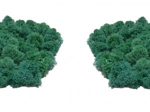 Muwse Islandmoos Kieferngrün 50 g Maßstab Spur N Modellbau