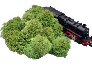 Muwse Islandmoos Tannengrün 5 g Maßstab Spur N Modellbau