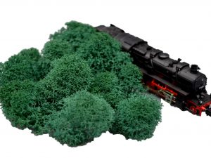 Muwse Islandmoos Kieferngrün 5 g Maßstab Spur N Modellbau