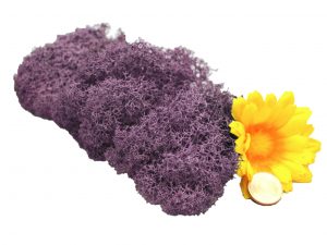 Muwse Islandmoos Flieder 10 g Maßstab Spur 0 Modellbau