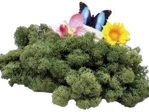 Muwse Islandmoos Tannengrün 25 g Maßstab Spur 0 Modellbau