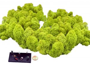 Muwse Islandmoos Frühlingsgrün 100 g Maßstab Spur TT Modellbau
