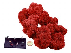 Muwse Islandmoos Mohnrot 25 g Maßstab Spur TT Modellbau