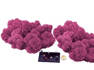 Muwse Islandmoos Veilchen Pink 50 g Maßstab Spur TT Modellbau