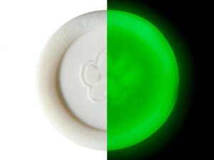 West Paw Zisc - 22 cm - Leuchtend/Glow